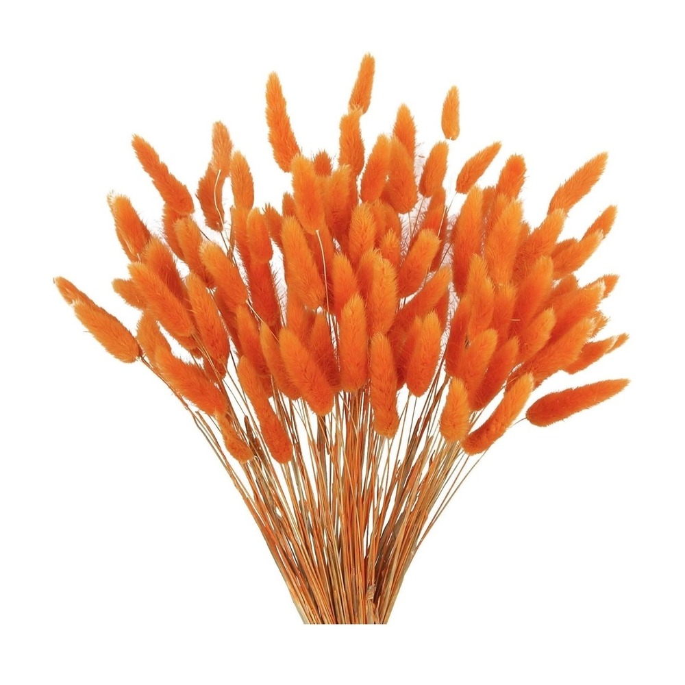120pcs Dried Rabbit Tail Flowers Orange Pampas Grass Lagurus Ovatus 17in Decor